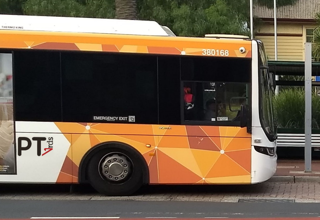 Bus with PTVrds logo