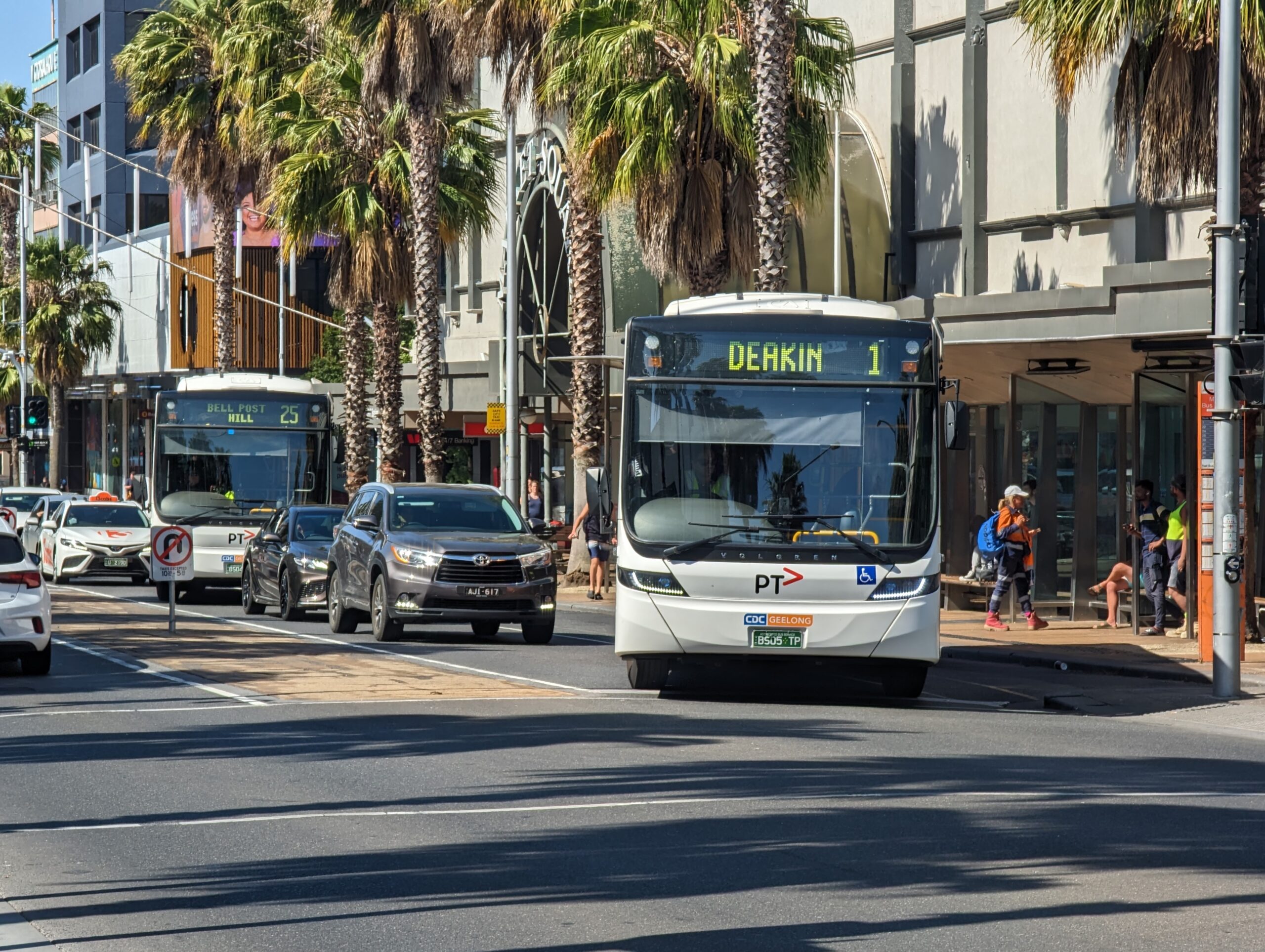 Geelong Candidates Survey Highlights Public Transport Priorities